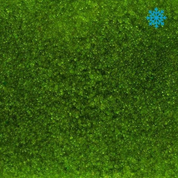 Tobiko Cavka Wasabi Yeşil Uçan Balık Yumurtası 500 gr - Sea Food